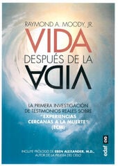 Vida después de la vida