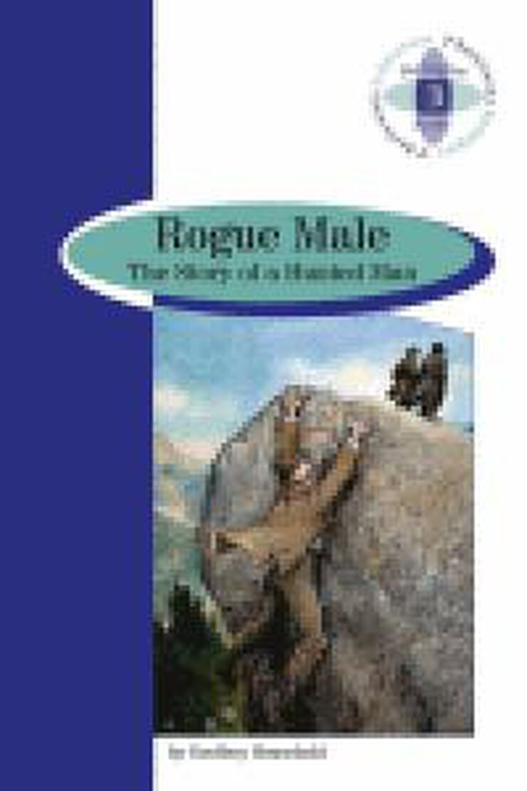 Rogue Male Story Of A