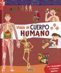Cuerpo humano Cuerpo humano