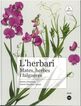 L'herbari: mates, herbes i falgueres