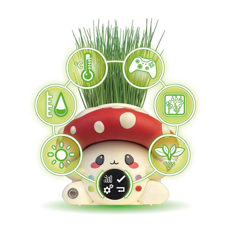 Garden Keepers Fungipot