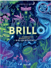 Brillo Brillo