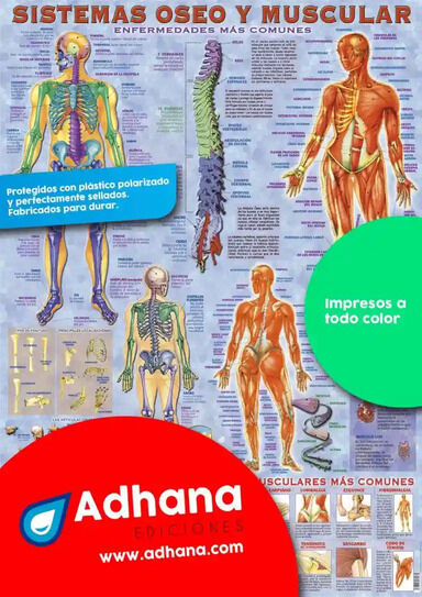 ADHA 35X50 Sistemas &Oacute;seo Y Muscular. Enf