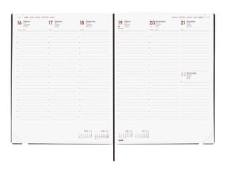 Agenda Finocam Mara Y12 sem/vista vertical cat 2026 azul