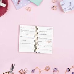 Agenda Finocam Design Collection E3 sem/vista horizontal cat 2026 Goldy