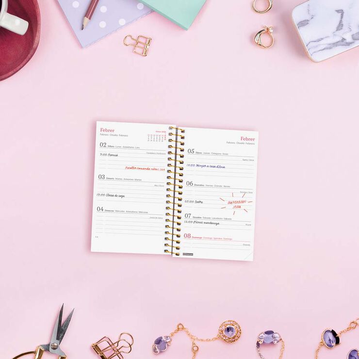 Agenda Finocam Design Collection E3 sem/vista horizontal cat 2026 Goldy