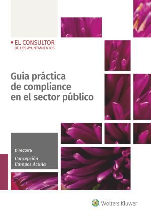 Gu&iacute;a Pr&aacute;ctica De Compliance En El Sector P&uacute;blico