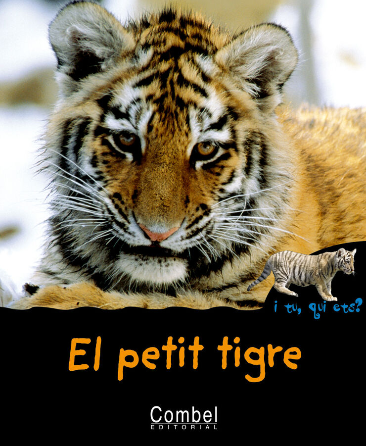 Petit tigre, El