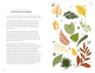 Un año de conexión con la naturaleza