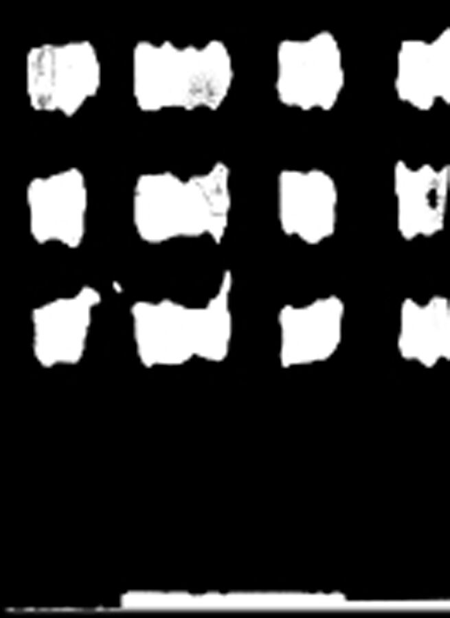 Jordi Colomer. Fa&ccedil;ana foto festa futur fideus [castellano]