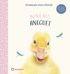 Bona nit, Aneguet