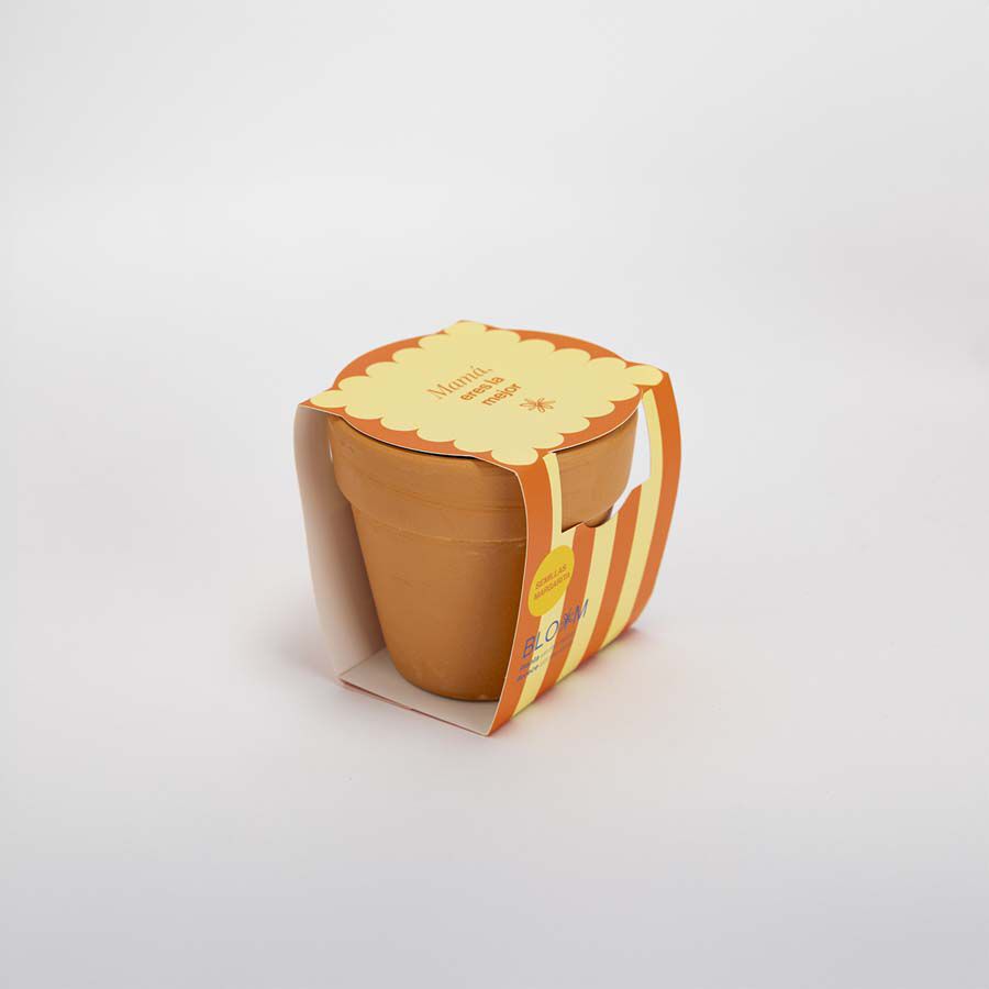 Test ''Mam&aacute; eres la mejor''