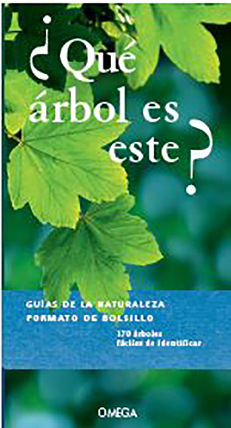 ¿Qué arbol es este?