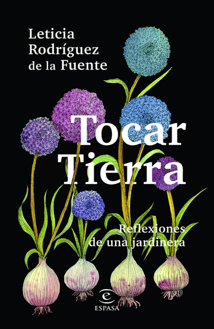 Tocar tierra