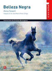 Belleza negra (Cucaña)