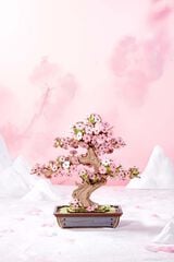 Maqueta Rolife Bonsai Sakura