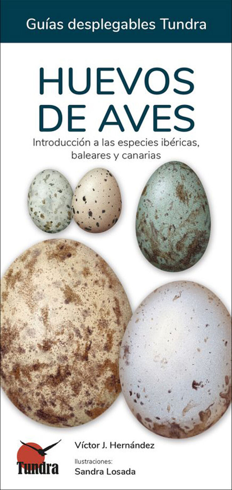 Huevos de aves