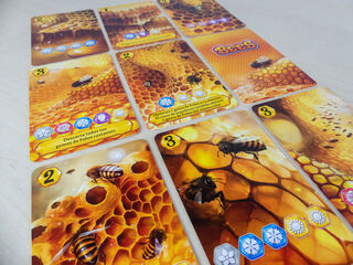 Bees - El Reino Secreto