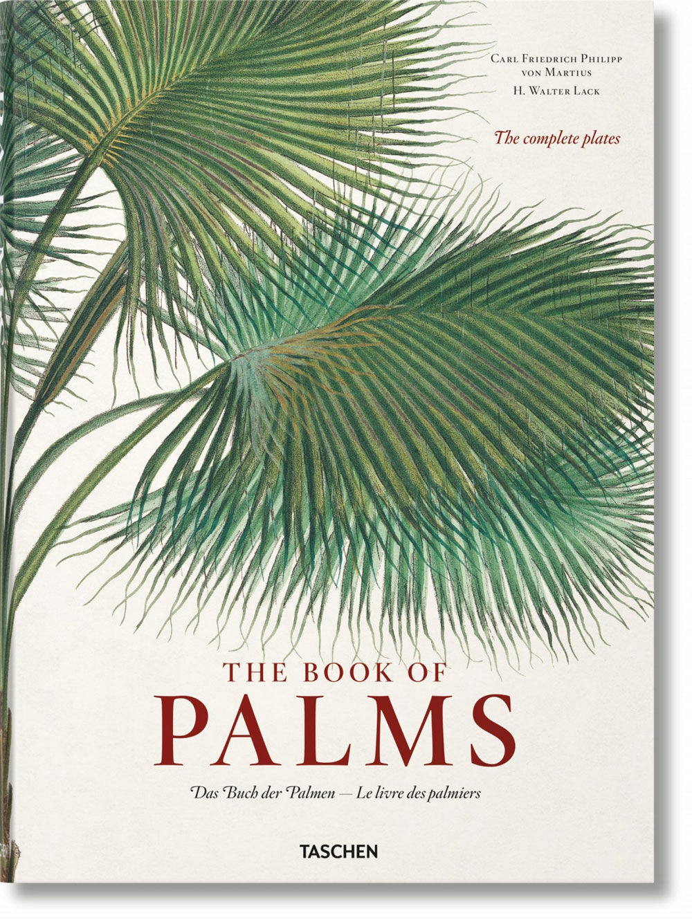 von Martius. The Book of Palms