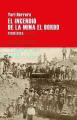 El incendio de la mina El Bordo El incendio de la mina El Bordo