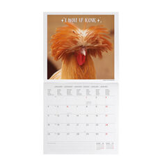 Calendario Legami 30x29 Pared Take It Easy Multiling&uuml;e 2027