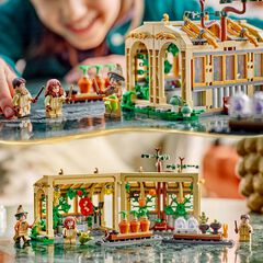 LEGO® Harry Potter TM Castillo de Hogwarts™: Clase de Herbología 76445