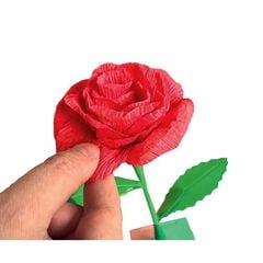 Crea les teves Flors Rosa