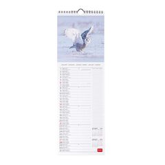 Calendario pared Legami 16X49 2024 Owls