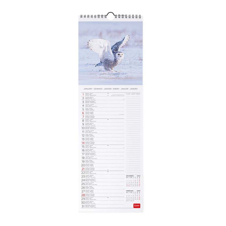 Calendari paret Legami 16X49 2024 Owls