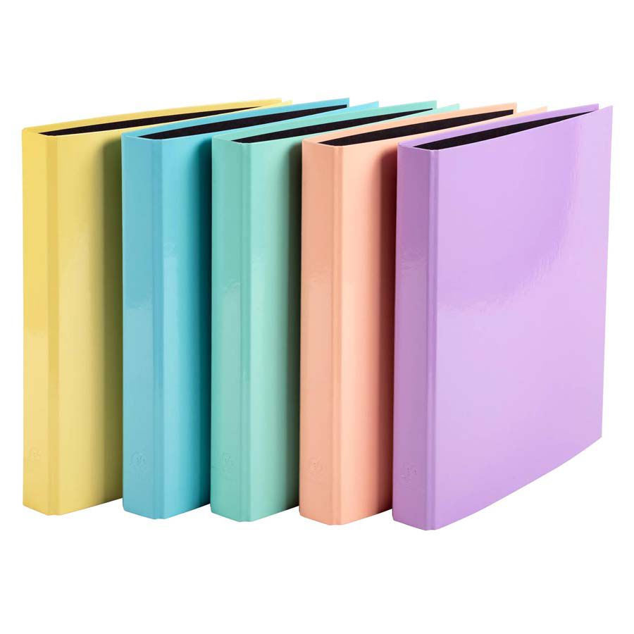 Arxivador 2 anelles 25mm Aquarelle assortit