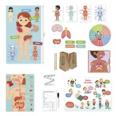 Aprendo en Positivo El Cuerpo Humano