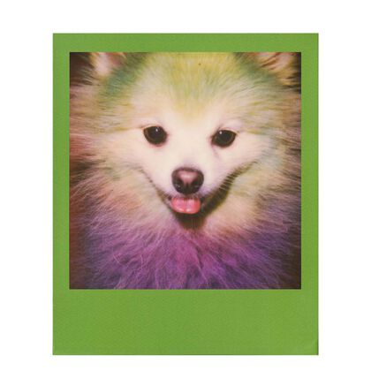 Recambio Now color rainbow Recambio Now color rainbow
