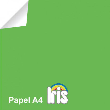 Paper Canson Repro Iris A4 80g verd billar 100 fulls