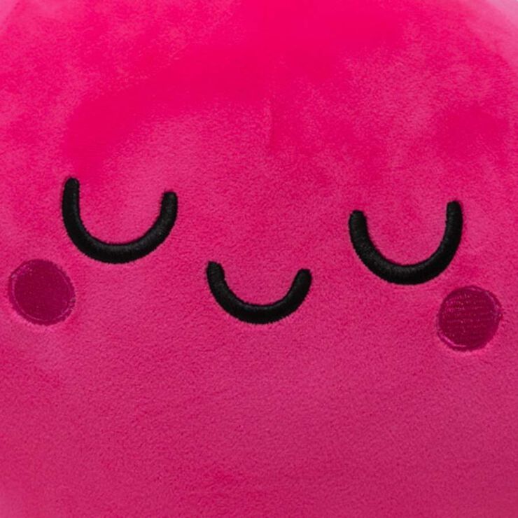 Peluix Remolatxa gran 27,5x27,5x39cm Mr.Wonderful