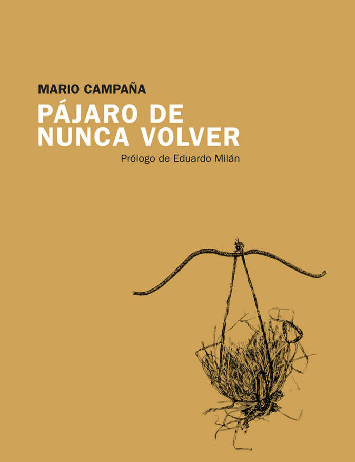 P&aacute;jaro de nunca volver