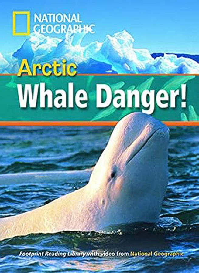 A2 Cdr Artic Whale Danger!. 800