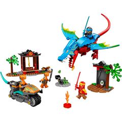 LEGO® NINJAGO Temple del Drac Ninja 71759