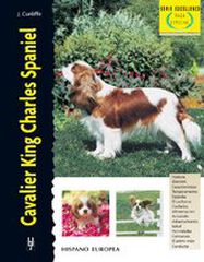 Cavalier King Charles Spaniel Cavalier King Charles Spaniel