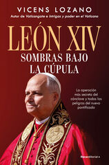 Le&oacute;n XIV