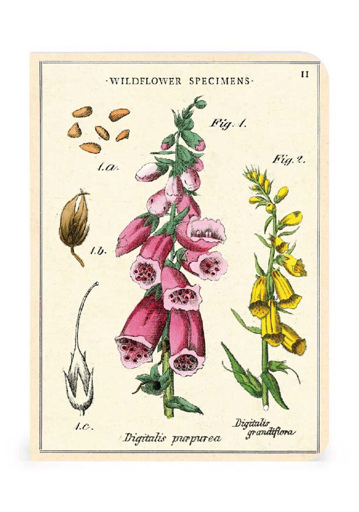 Set 3 Mini Libreta Cavallini Wildflowers