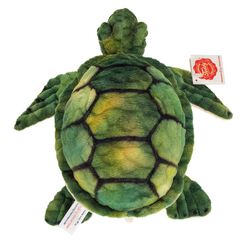 Tortuga