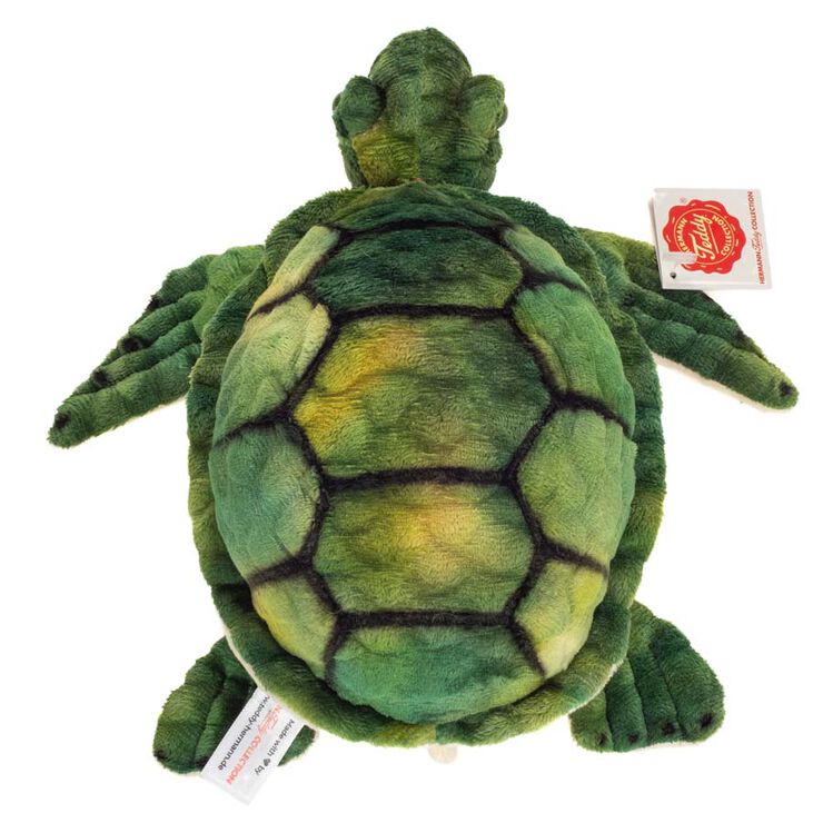 Tortuga
