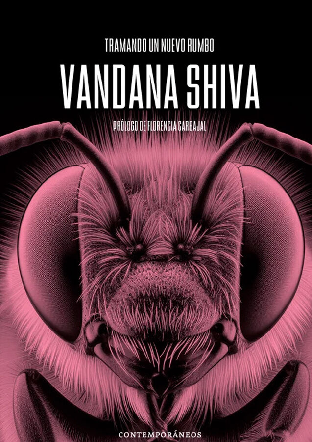 Tramando un nuevo rumbo