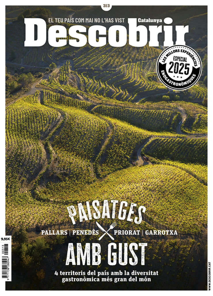 Descobrir 313 – Paisatges amb gust