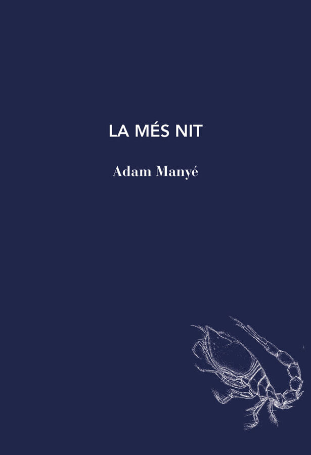 La m&eacute;s nit