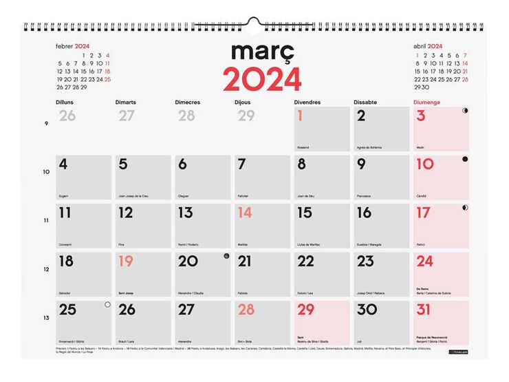 Calendari paret Finocam Mixte XL 2024 cat