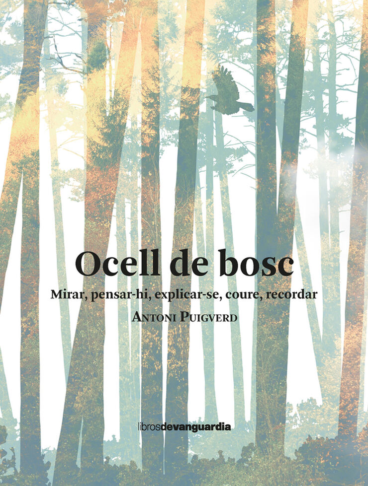 Ocell de bosc