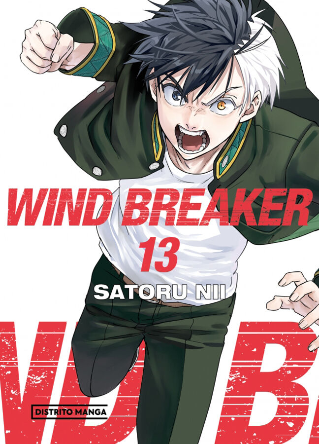 Wind Breaker 13