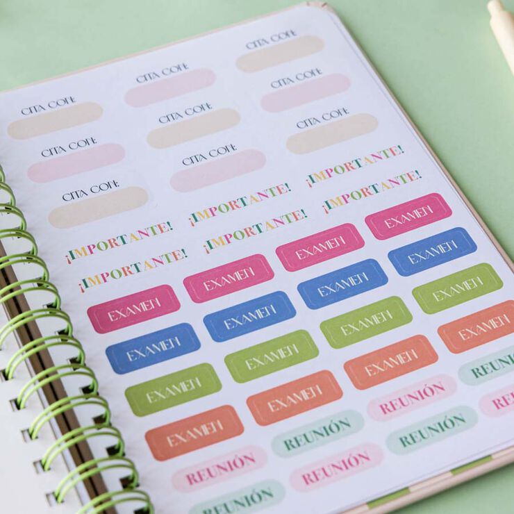 Agenda Defreds castellano sem/vista 2026