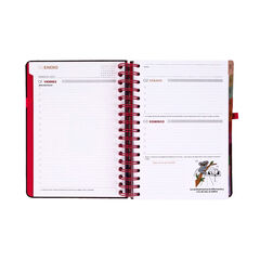 Agenda Mr. Wonderful Dia P&agrave;gina Full Aesthetic 2027 Multicolor